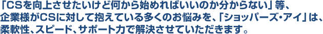 「CSを向上させたいけど何から始めればいいのか分からない」等、企業様がCSに対して抱えている多くのお悩みを、「ショッパーズ・アイ」は、柔軟性、スピード、サポート力で解決させていただきます。